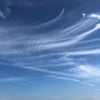 ■家事の合間にふわっと感じたいい香り♪心のゆとりは、何気ない幸せに気付きやすくなる。の画像