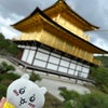京都旅行・1日目(2)金閣寺ちいかわ＆ハチワレ。の画像