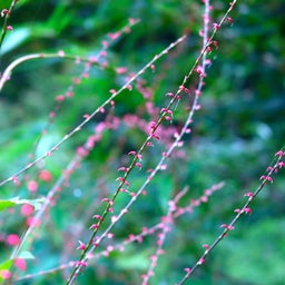画像 静かな賑わい。 の記事より 7つ目