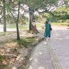 長崎＆福岡旅３日目『優しさと懐かしさとドングリと④』の画像