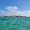石垣島いってきた⑦最終日　幻の島　フサキ料金の画像
