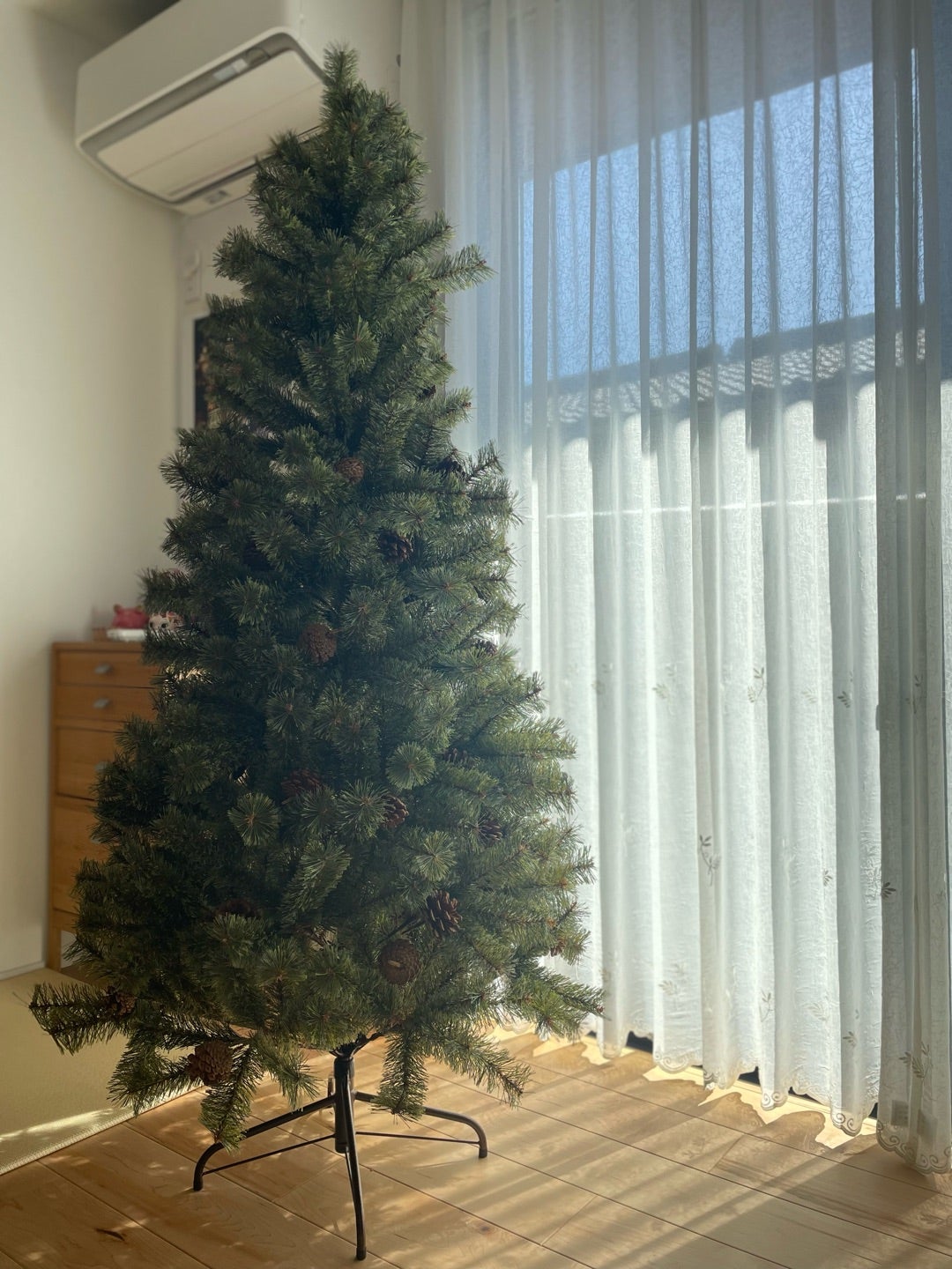 アルザスツリーが届いたよ! | 住友林業で平家を建てた!〜敷地 アルザスツリーが届いたよ! | 住友林業で平家を建てた!〜敷地