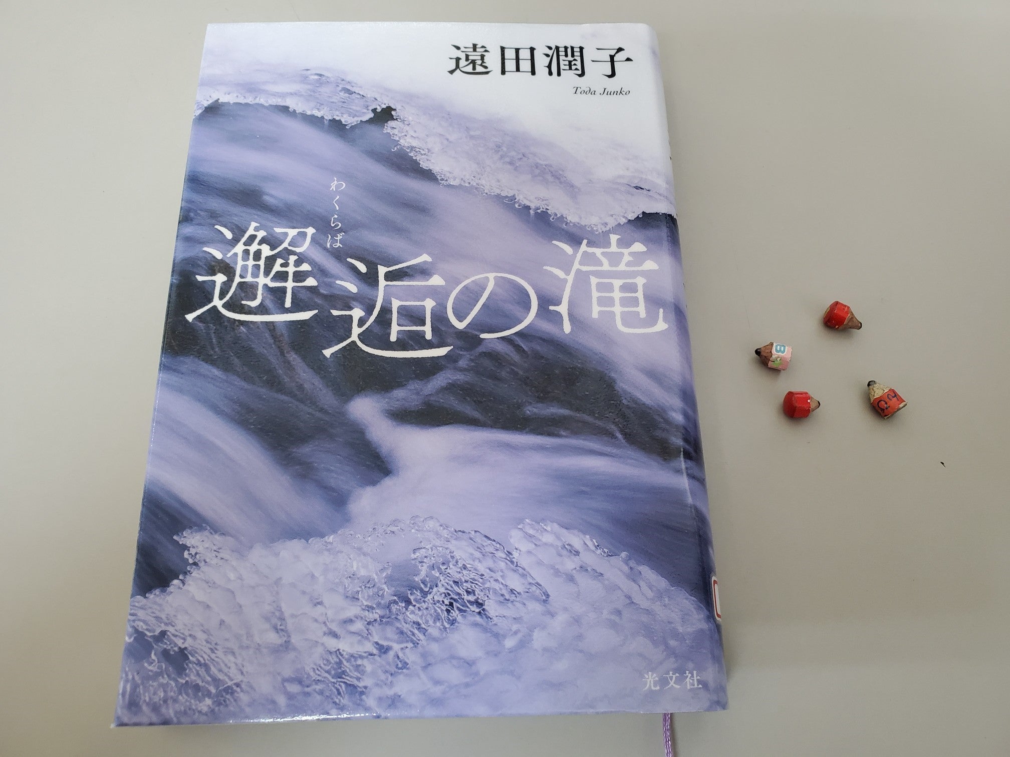 遠田潤子『邂逅（わくらば）の滝』 | あかんたれのブログ