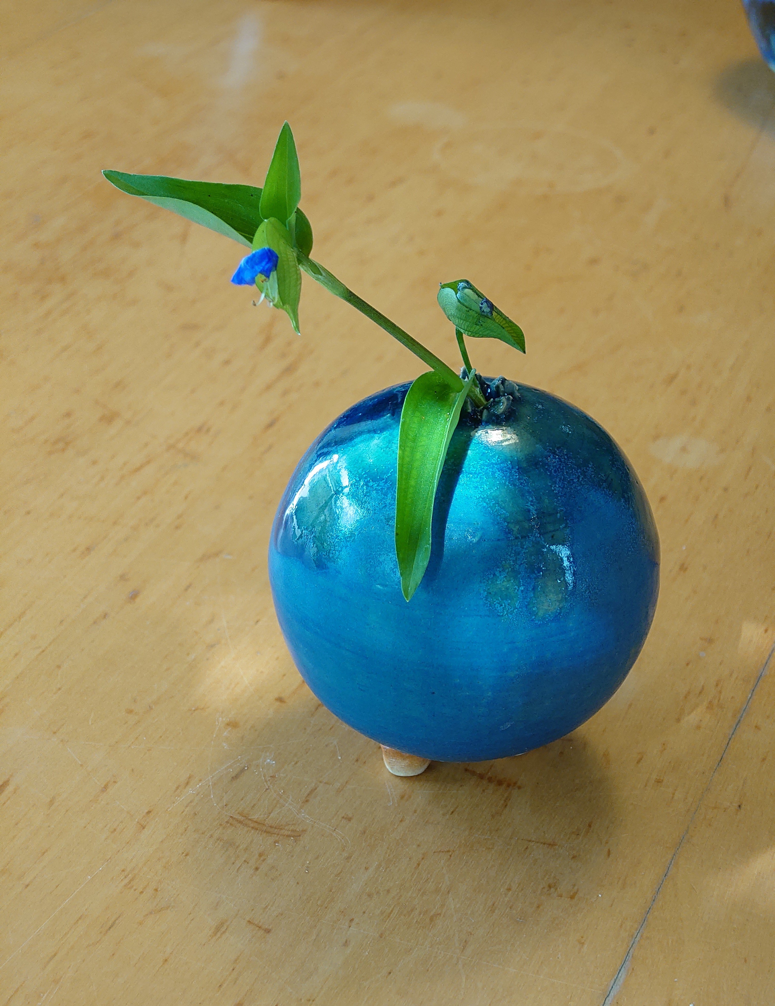 花瓶だと高くつくし・・・ | ゆったりの扉 花瓶だと高くつくし・・・ | ゆったりの扉