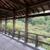 京都旅行・2日目(2)東福寺の画像