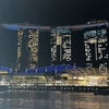 シンガポール夫婦旅5️⃣〜リバーワンダーでパンダに癒されたりクルーズで夜景にうっとりした日の画像