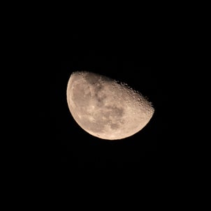 ⭐自宅からお月さま（月齢19.8）/moon from home⭐️の画像