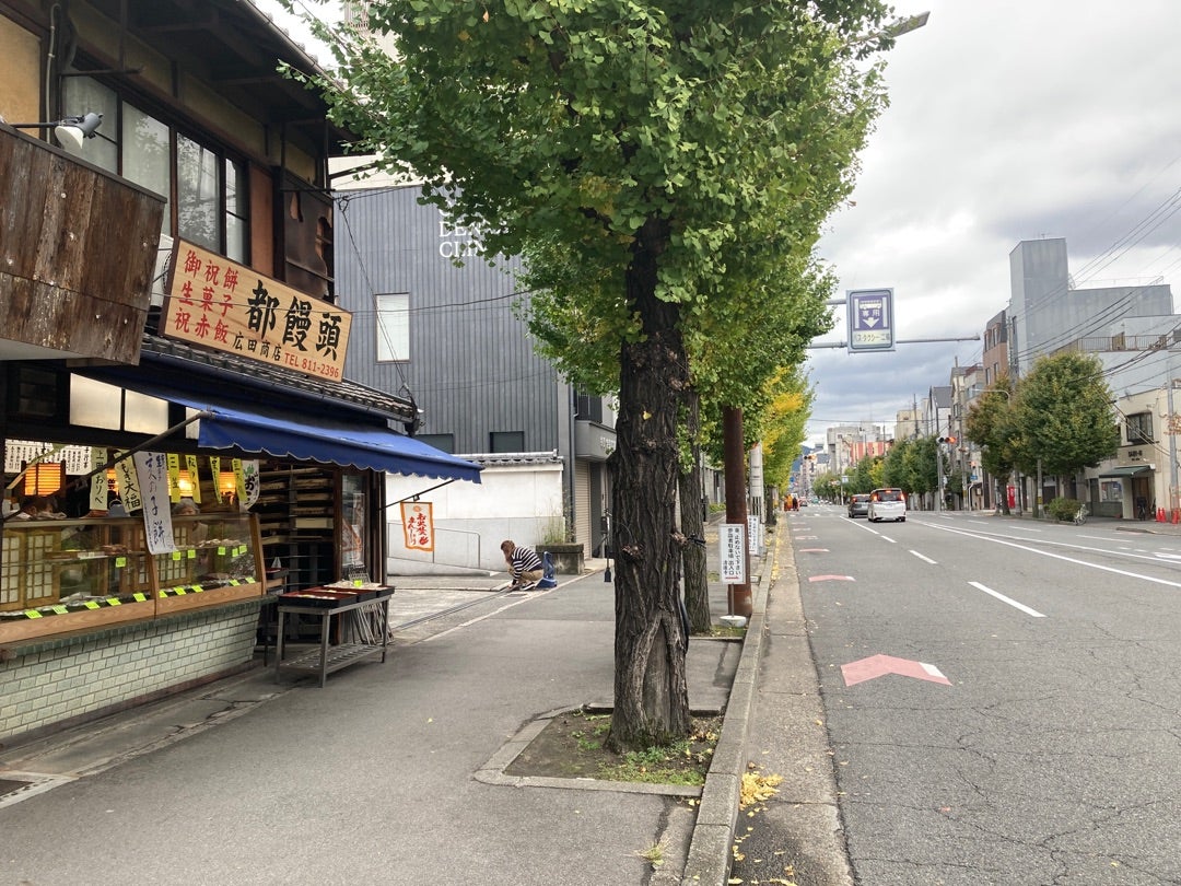 仙洞御所と京都御所 | 洛楽ウォーカーのブログ 仙洞御所と京都御所 | 洛楽ウォーカーのブログ