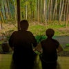 僕と「甥っ子と竹林」の画像
