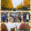 秋のイベント特集3～紅葉☆ハロウィンの画像