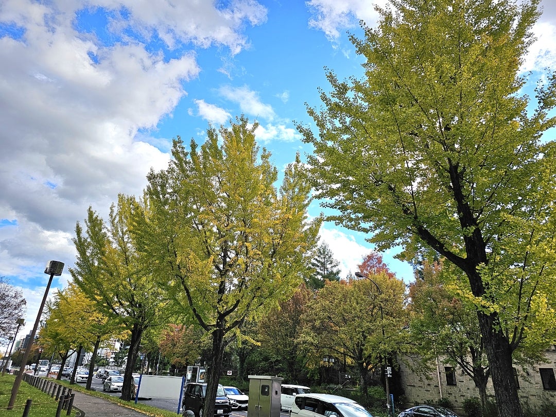 急に冬がやってきた | 日々是精進!