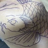 刺青師影虎　鯉刺青　背中の画像