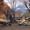 富士山＆紅葉を見ながら遊んだ公園❤︎の画像