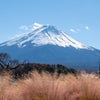 富士箱根② 河口湖大石公園、山中湖の画像
