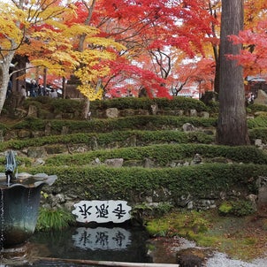 永源寺の紅葉(2023年11月23日撮影)の画像