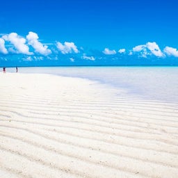 画像 きれいなビーチが、きれいな理由 の記事より 1つ目