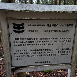 画像 徳島「石尾神社」で出逢ったオーブと不思議な物体とは…❗ の記事より 9つ目