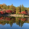 昭和記念公園の画像
