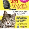 迷子の猫ちゃん　北海道の画像