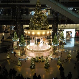 画像 毎年恒例、グランフロント大阪のクリスマスツリー！ の記事より 7つ目