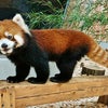 熊本市動植物園の画像