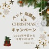 夜空豆金のクリスマスキャンペーンの画像