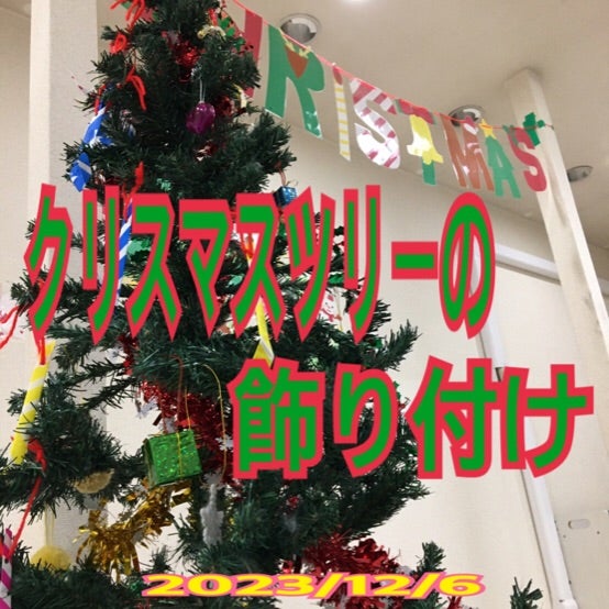 o0554055415374291708 - 12月6日(水)toiro秦野☆クリスマスツリー☆