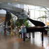 ピアノのあるホテルでN.35♪　西所沢音楽（ピアノ・バイオリン）教室の画像