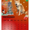 姫菜さん❤️12月カレンダーありがとう〜今年のスクープ写真①の画像