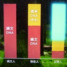 フロンティア「日本人とは何者なのか」NHK BS 12/6放送の記事より