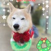 Merry Xmas〜ココより❤️姫菜さんありがとうの画像