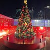 クリスマスは六本木で締めくくり〜「呼び方問題」の行方の画像