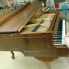 Buon Natale！！My Bechstein has come!!の画像