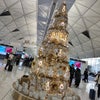 経由地の香港空港の画像