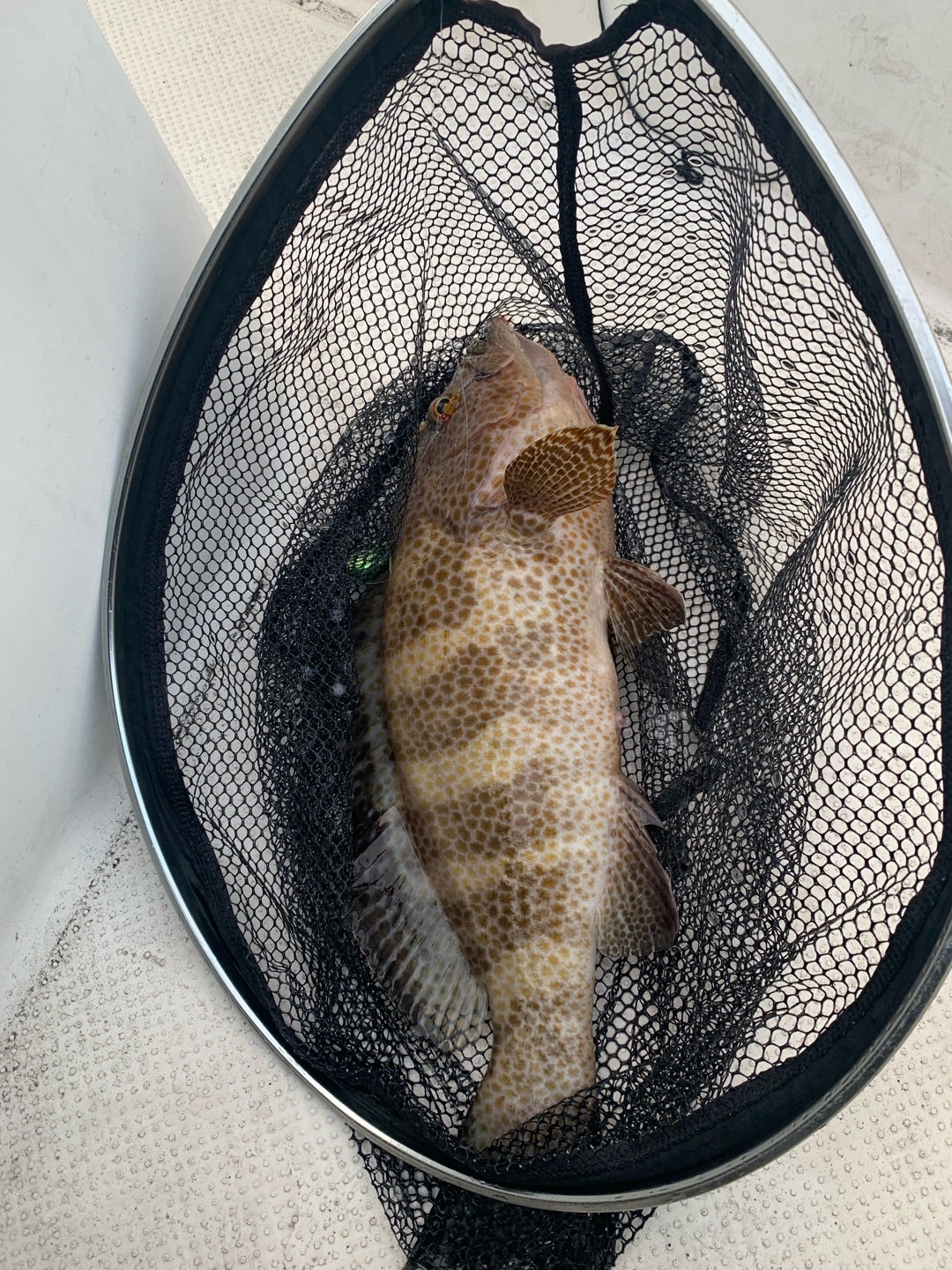 Shimano GAME Type LJ B65-0/FS | 釣りの事を書くブログ Shimano GAME Type LJ B65-0/FS | 釣りの事を書くブログ
