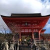 西国三十三ヶ所16番札所    京都：東山を訪ねて…(2018.12.12 参拝）の画像