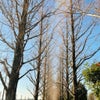 レイキ練習会のお知らせ♡1月25日(木)刈谷の画像