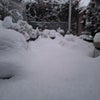 雪の画像