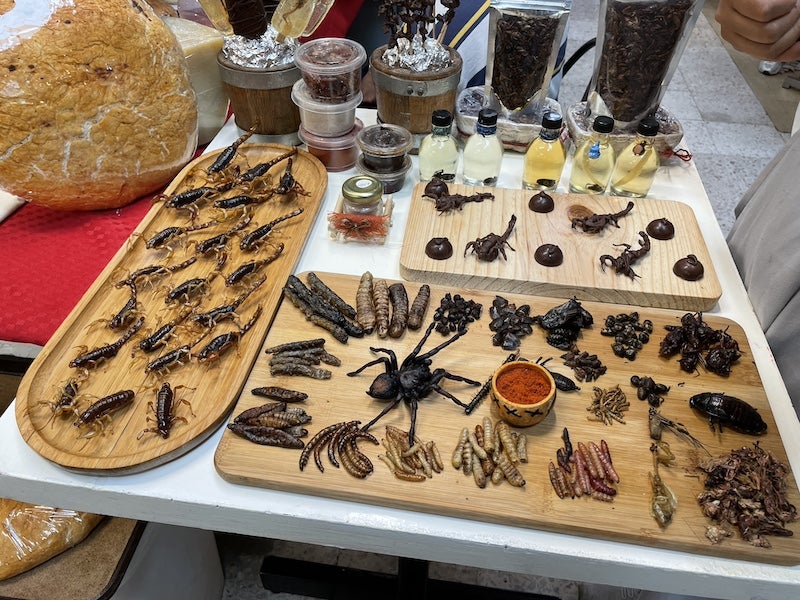 メルカド続編、サソリを食べるの？！、メキシコ雑貨 | プラヤサーフの 