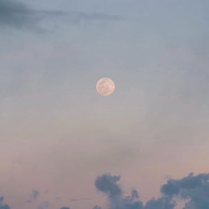 今年初の満月〜執着から自由になる〜の画像