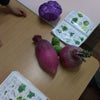 食育『紫キャベツ』の画像