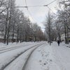 フェブ散歩。 フィンランドでゆったりのんびりの画像