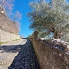 コセンツァの山の上のお城からの絶景と、遺跡の画像