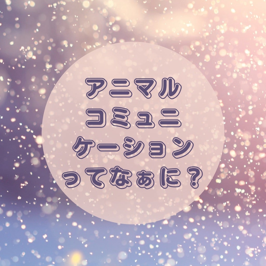 Precious Orbご提供セッションメニューの記事画像