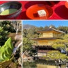京都『金閣寺』への画像