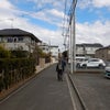 旧東海道 戸塚～保土ヶ谷 10km その２の画像
