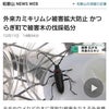 日本を襲う『かみきり虫』は、神切り虫❗というメッセージの画像