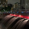 目黒川のライトアップきれいの画像