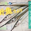 うお吉の仕入れ　三重県産『針魚（サヨリ）』春の魚の画像