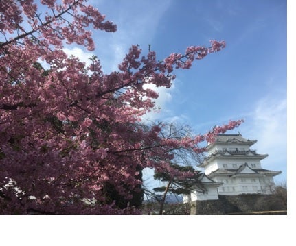 久しぶりのお出掛けの記事画像